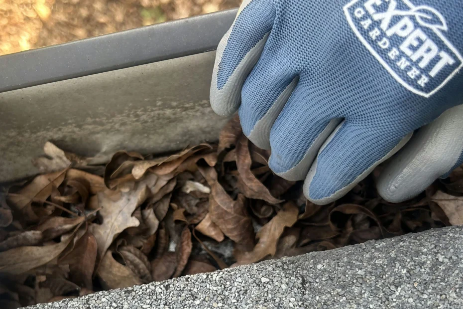 Gutter Cleaning Woodruff