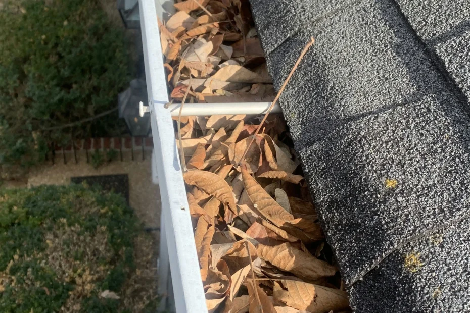 Gutter Cleaning Woodruff