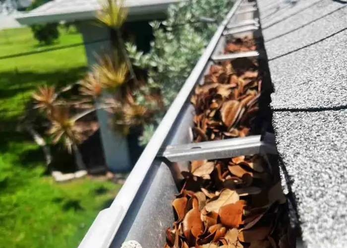 Gutter Cleaning Woodruff home page